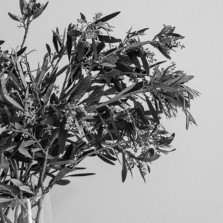 Appartement Sea View Casa à Naxos City Extérieur photo