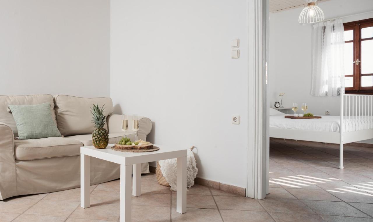 Appartement Sea View Casa à Naxos City Extérieur photo